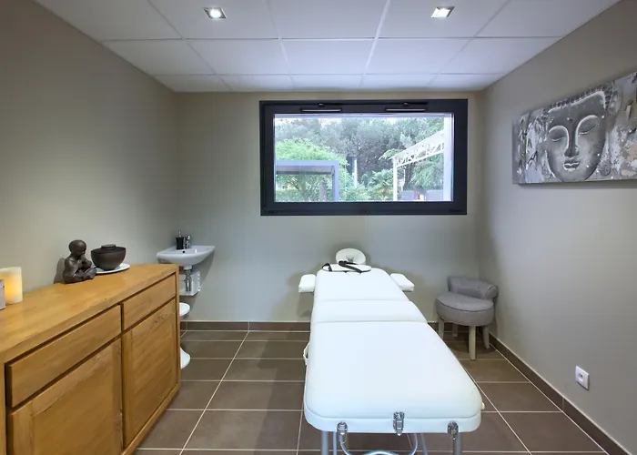 Logis Restaurant & Au Comte D'ornon Hotel 3*